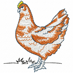 Chickens And Roosters Embroidery Design 3 Chickens And Roosters Embroidery Design 3